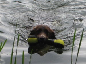 bei der Wasserarbeit